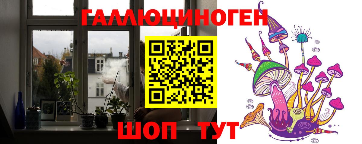 Псилоцибиновые грибы Psilocybe  Вход с VPN  Кемерово 